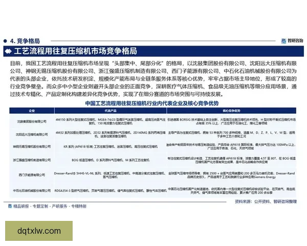 从起源到巅峰的VS厂发展历史与制表工艺全景解析演进与行业影响研究 从起源到巅峰的VS厂发展历史与制表工艺全景解析演进与行业影响研究